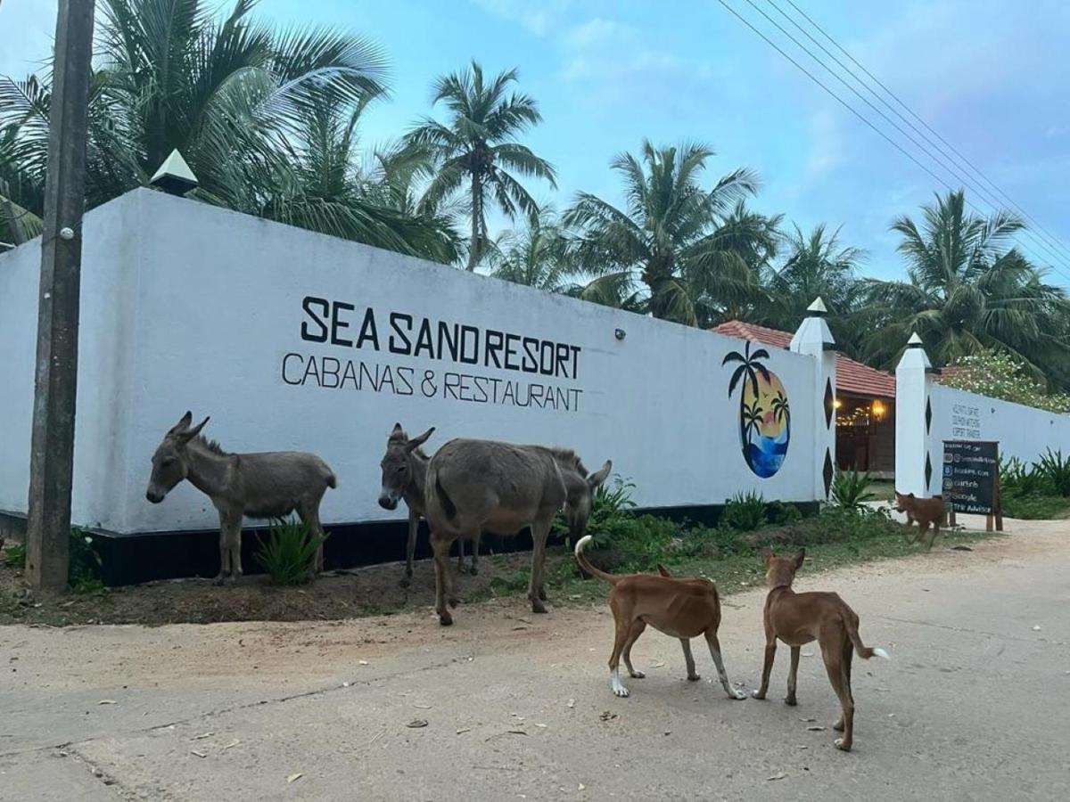 Sea Sand Resort Kalpitiya Eksteriør billede